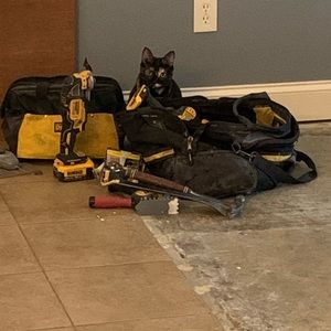 Meet your Posher, Dustin